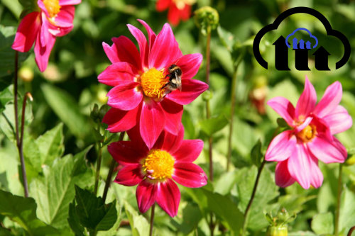 image with nested layers