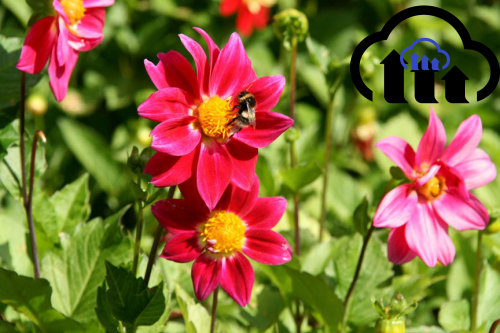 image with nested layers