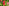 Sample image resized to 9x6 pixels displayed in a 300x200 tag