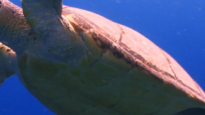 product_image_thumbnail