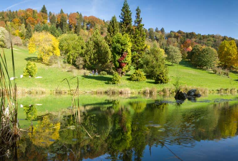 Arboretum Aubonne by Marc Baertsch