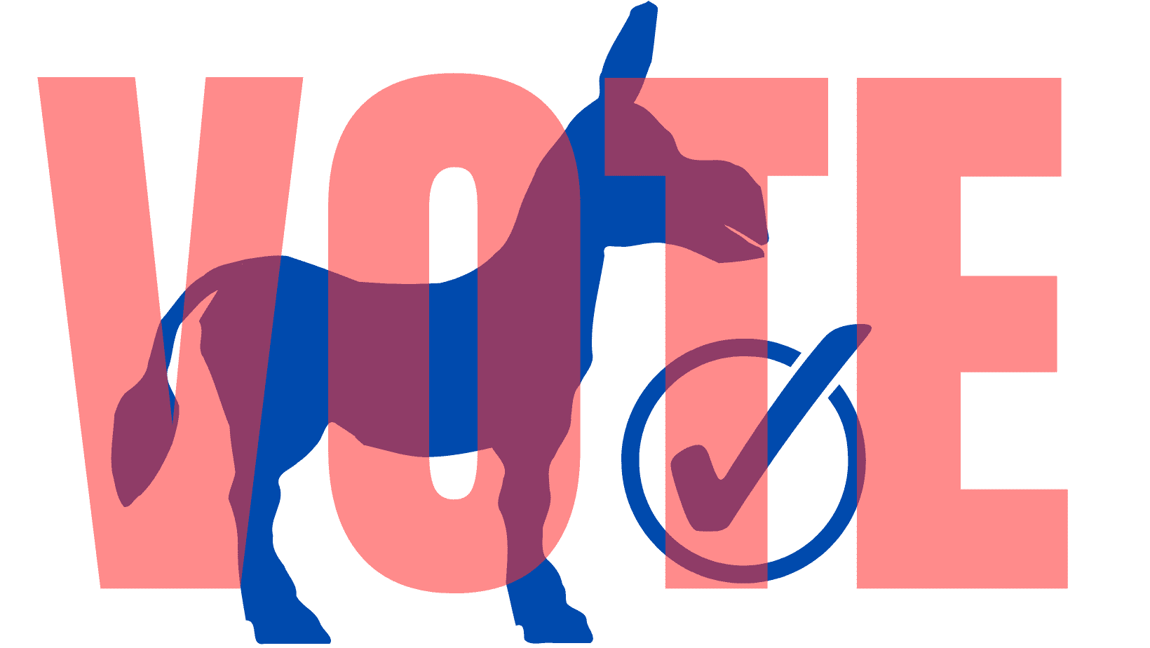 VOTE! CAST YOUR BALLOT for your preferred candidate for the Democratic Nomination for President at the