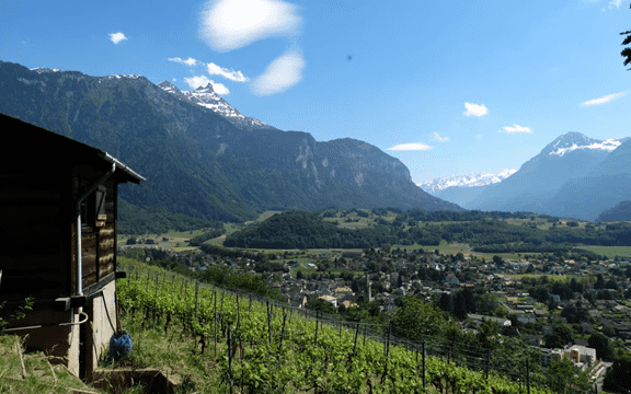 Bex hill and Alps