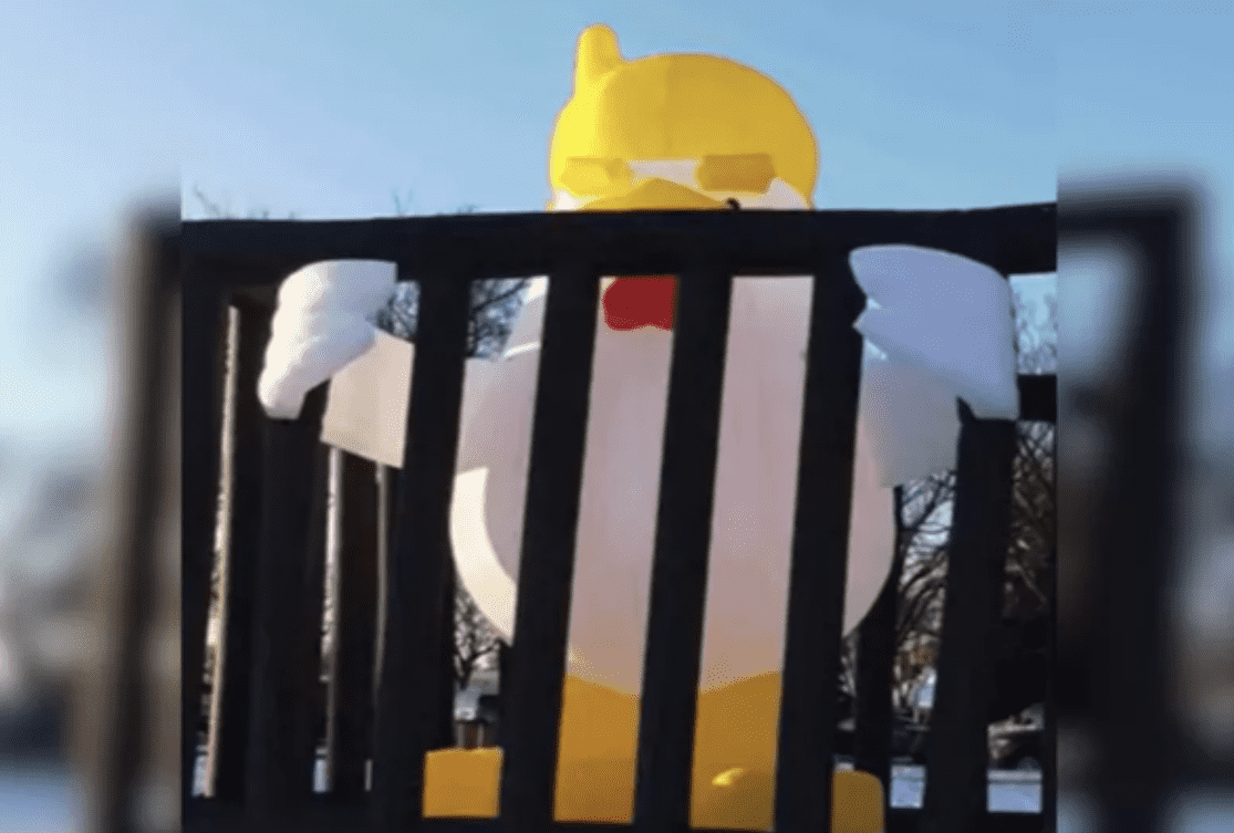 Trump Balloon