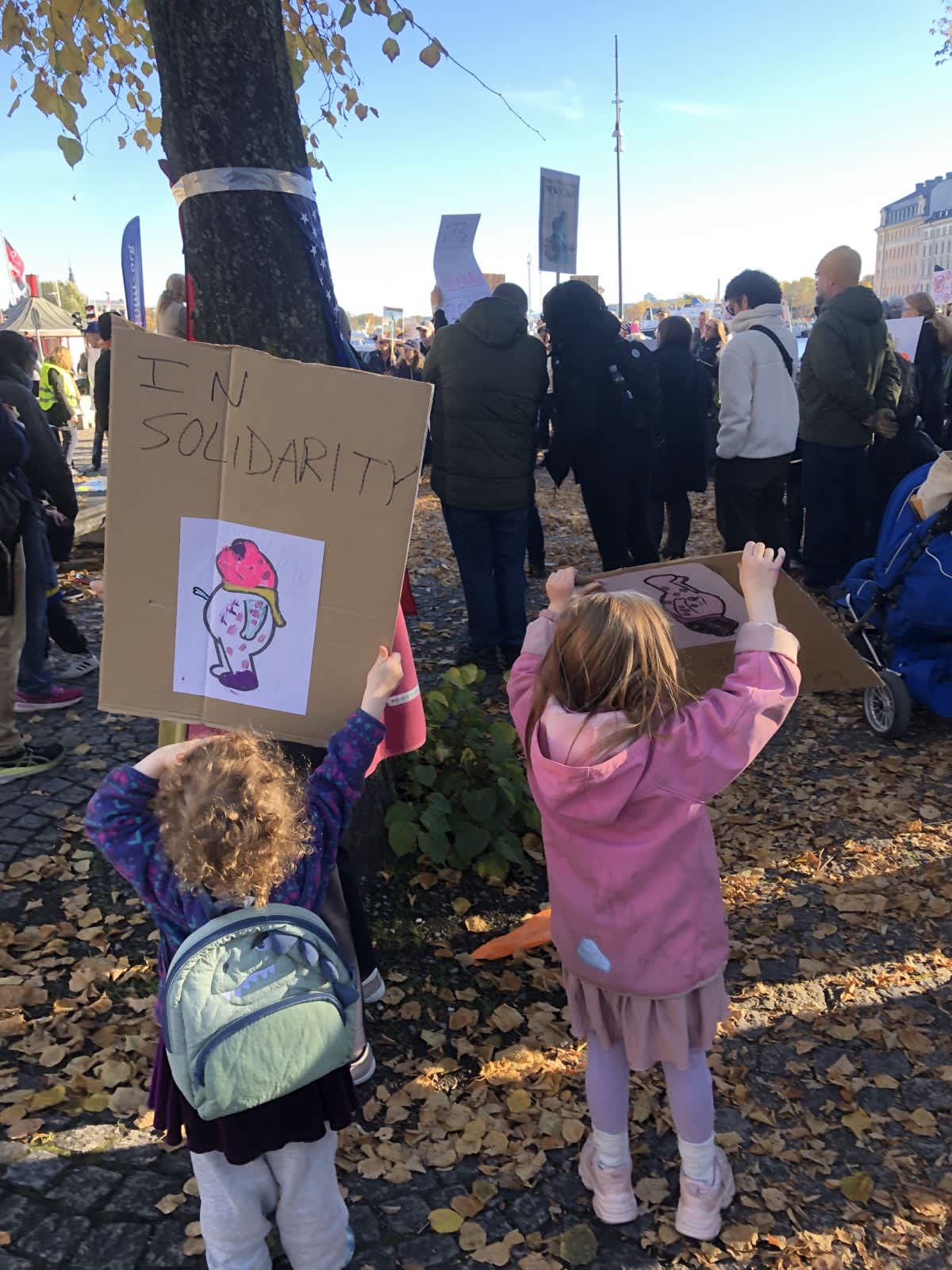 Two young protesters. One holds up a sign that reads "in solidarity".