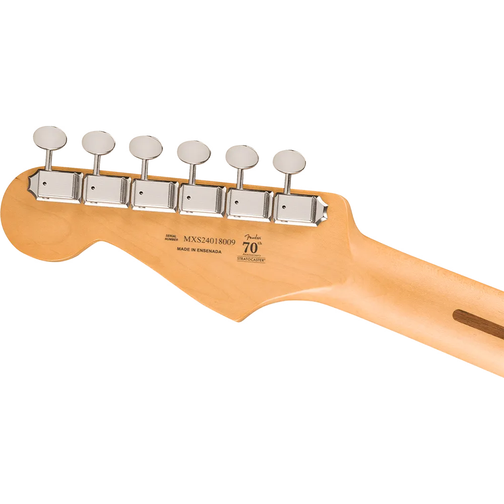 Fender Player II Stratocaster price in Nepal Vanijay-1