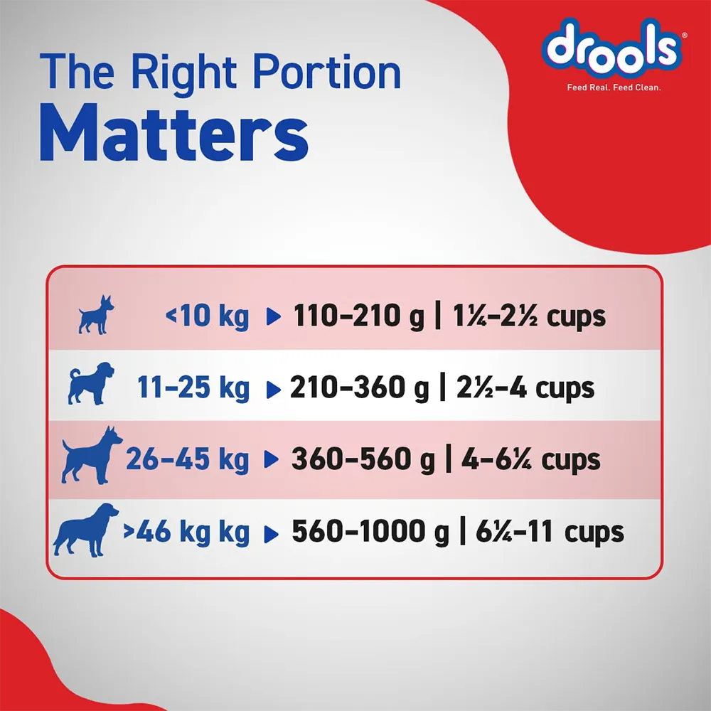 drools-adult-dry-dog-food-nepal-7