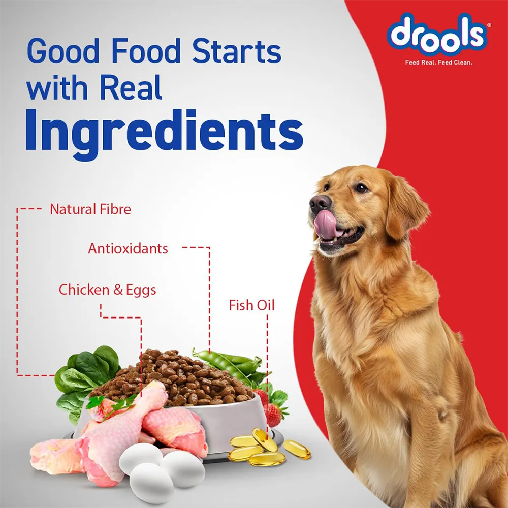 drools-adult-dry-dog-food-nepal-5