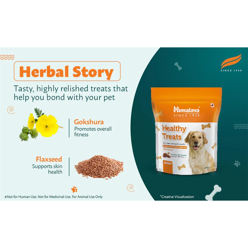 adult-dog-treats-chicken-flavour-nepal-2