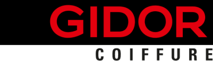 Coiffeuse / Coiffeur (100%)