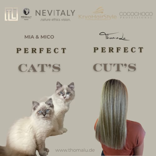 Frisuren-Bild von ThomaLu Luxury hair & photography auf hairinspo: frau, kopfhaar, glatt, lang, haarglättung, einfarbig, balayage, hellblond