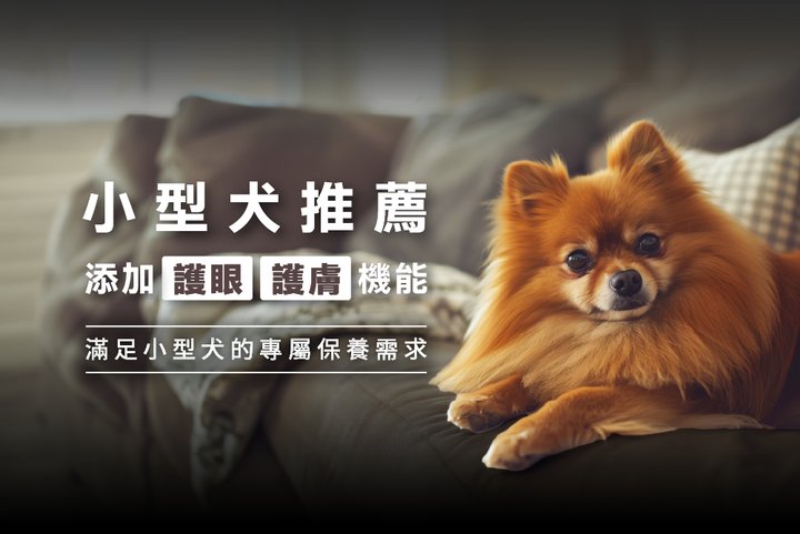 image_12.png