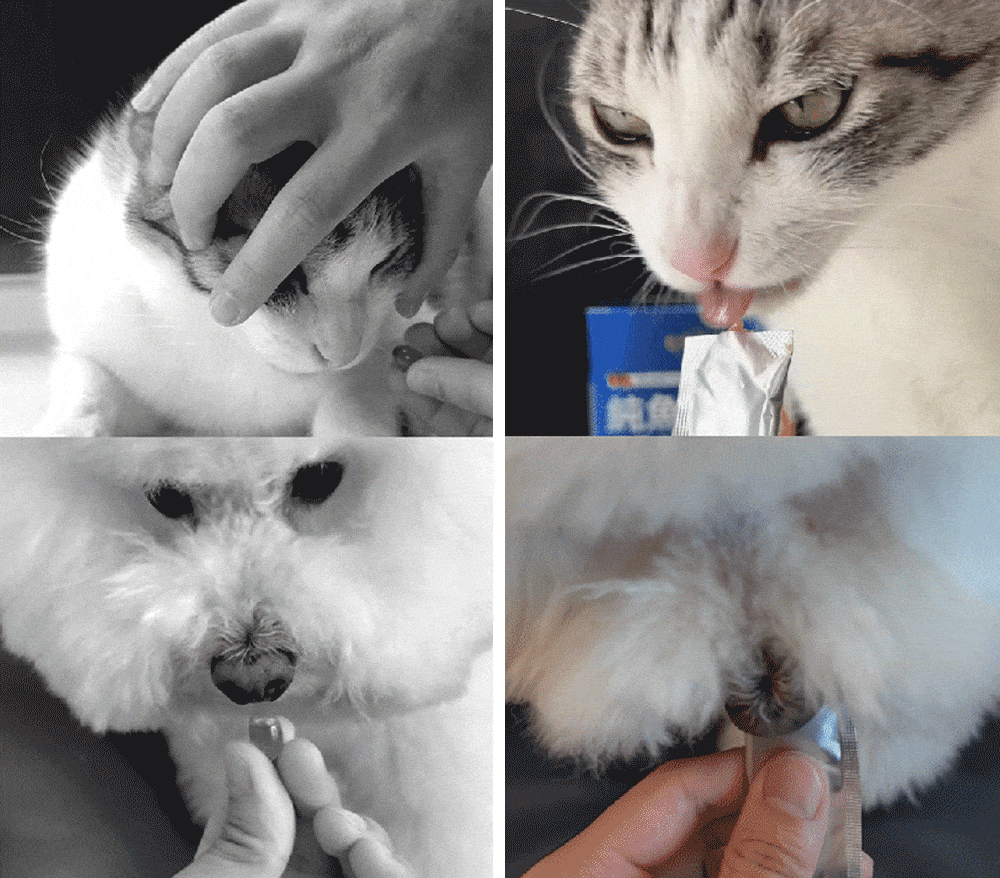 image_5.gif