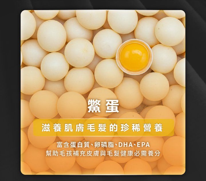 image_9.png