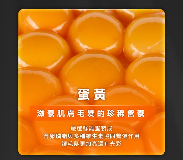 image_10.png