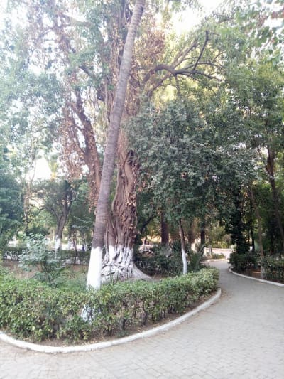 Le Jardin de Blida
