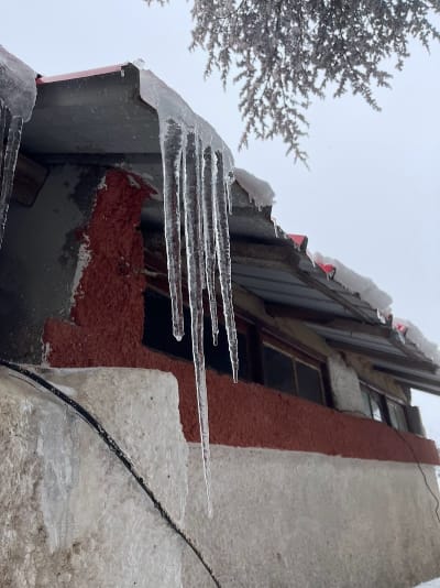 Chréa Mountain Lodge