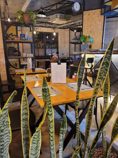 Restaurant il paradosso By ChoiX