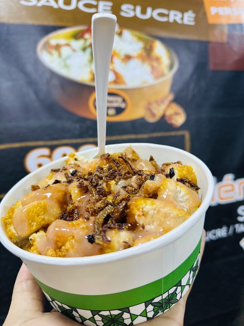 Mostaganem salamandre