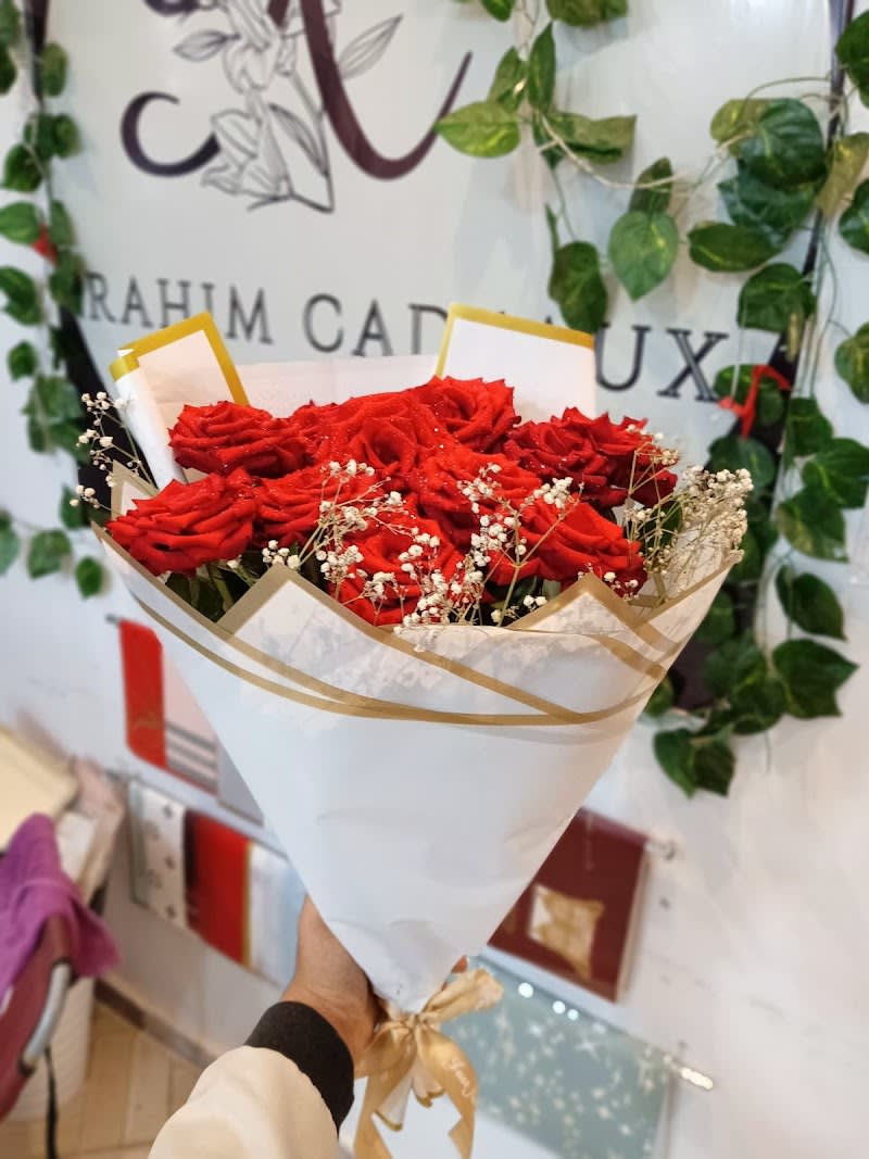 Photo Google — par Ha Mza