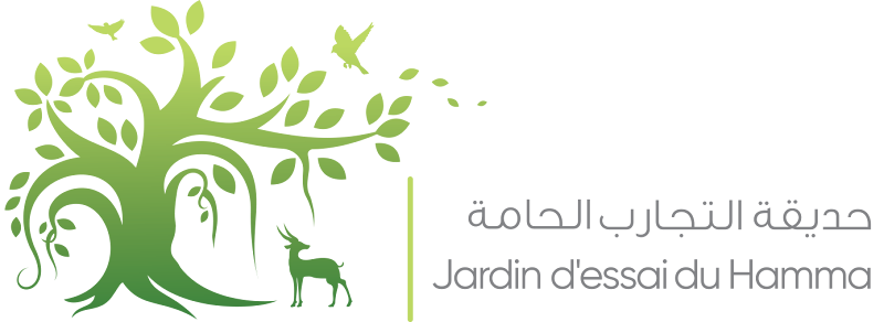 Jardin d'Essai du Hamma
