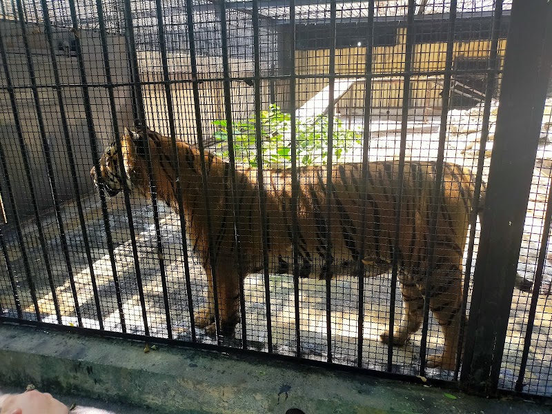 Parc Zoologique du Hamma