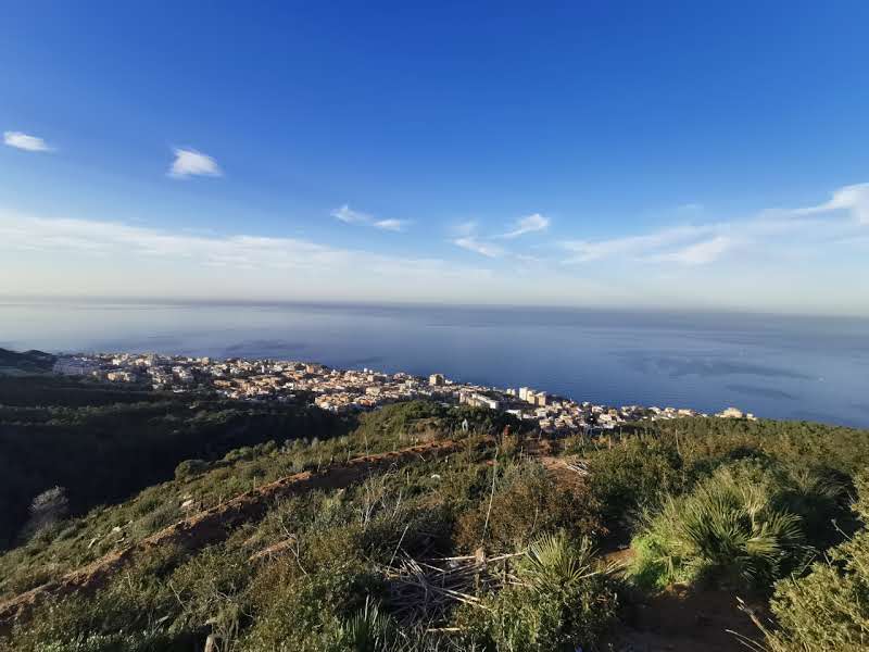 Forêt bainem vue sur mer
