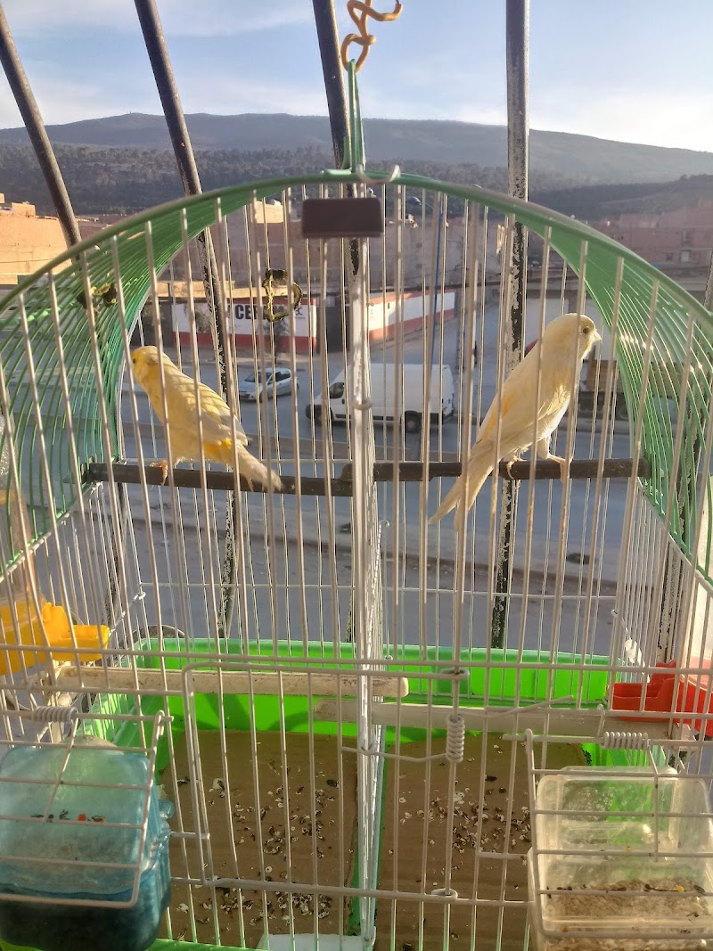 Marcher du gros alimentaire