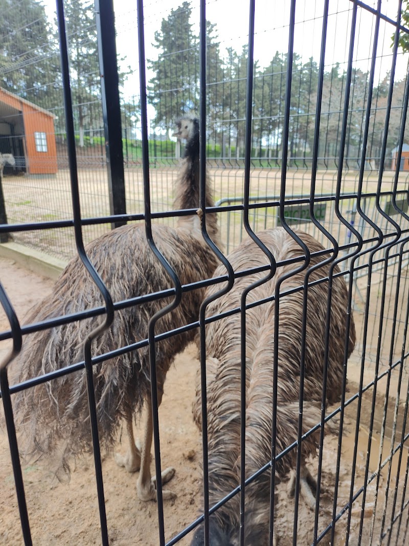 Parc zoologique El achour