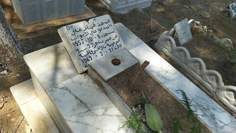 tombe du chahid ali ammar