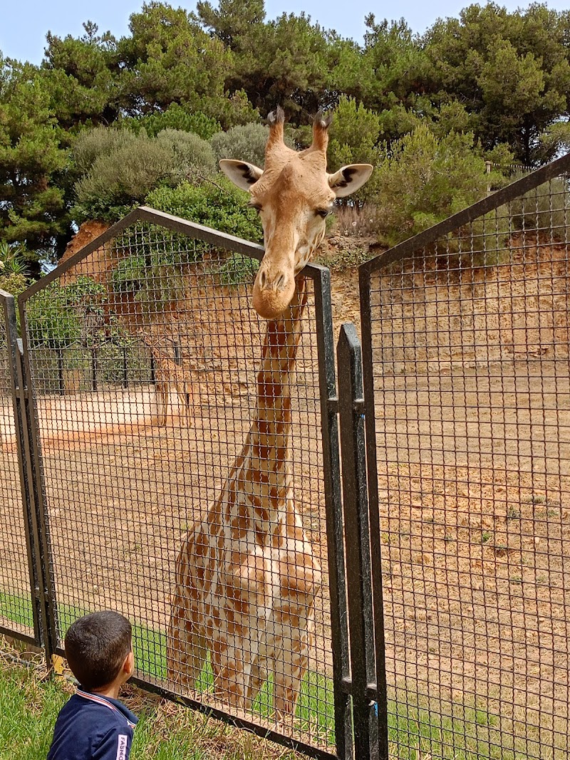 Zoo Ben Aknoun - Animaux sauvages