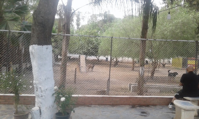 Centre de dressage bouchaoui la trappe baroudi