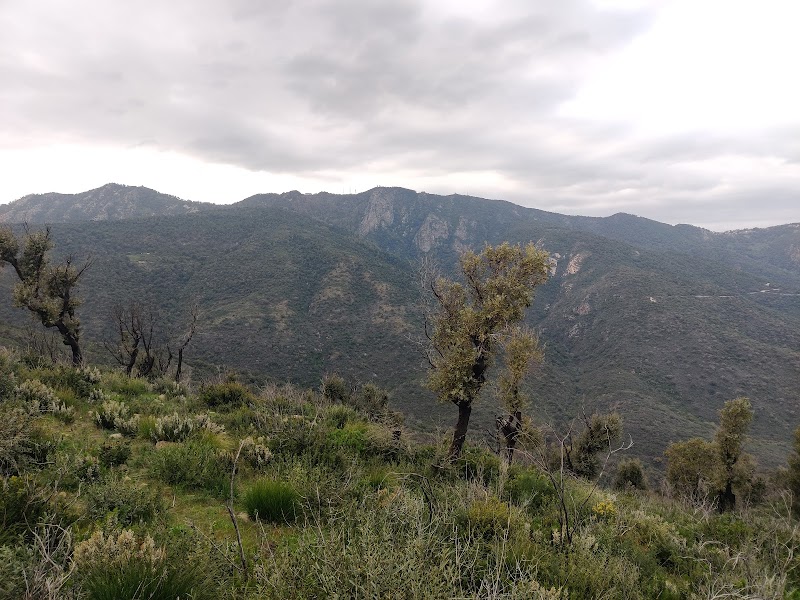 SOMMET NMAMCHA BOUGENTAS