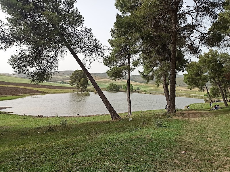 منتزه المريج (حي القماص )