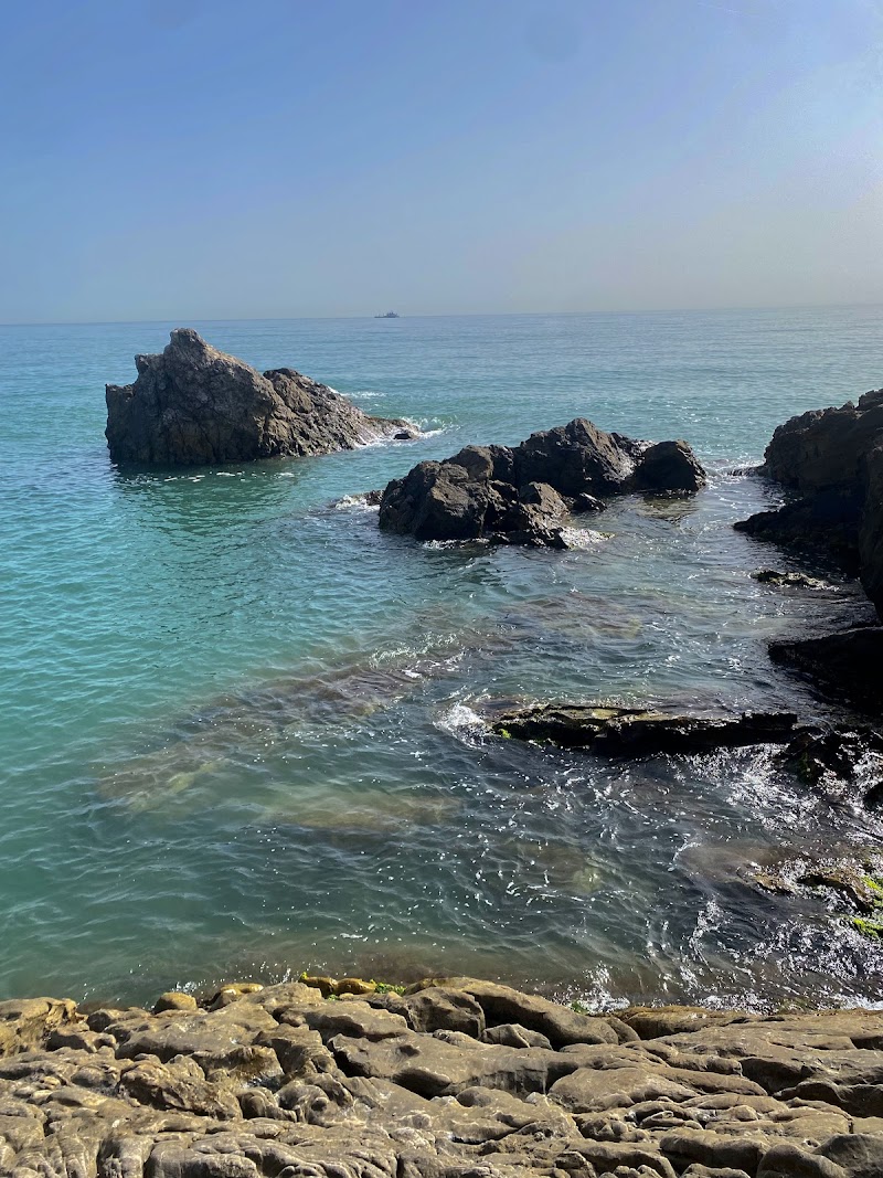 روشيات بجاية