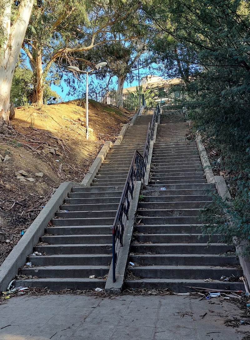 Grand escalier Cité Armaf