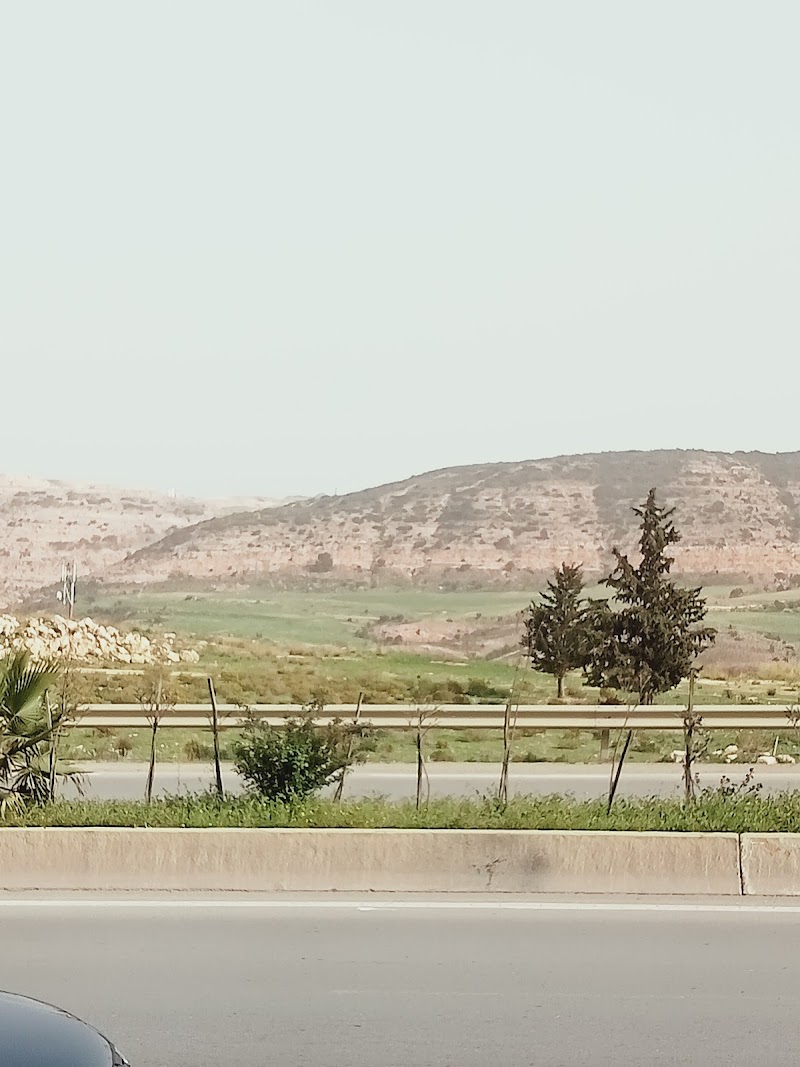 Forêt route ain smara