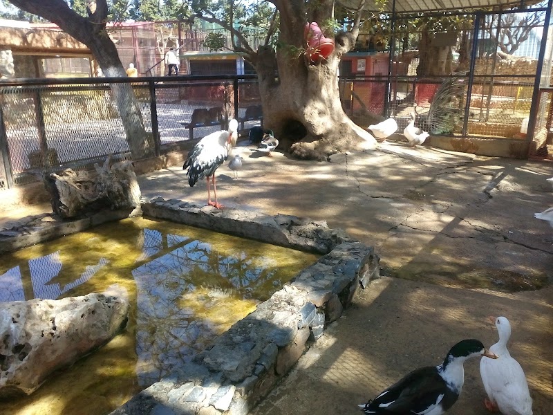 Zoo d'Oran