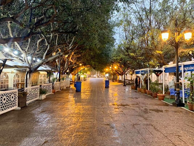 LE COURS DE LA RÉVOLUTION