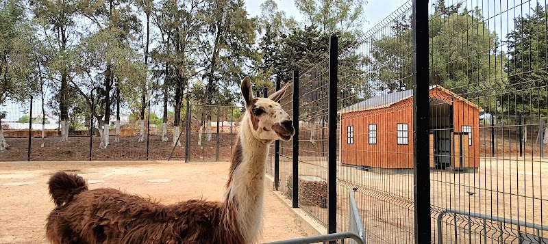 Parc Ben Aknoun - Photo 1