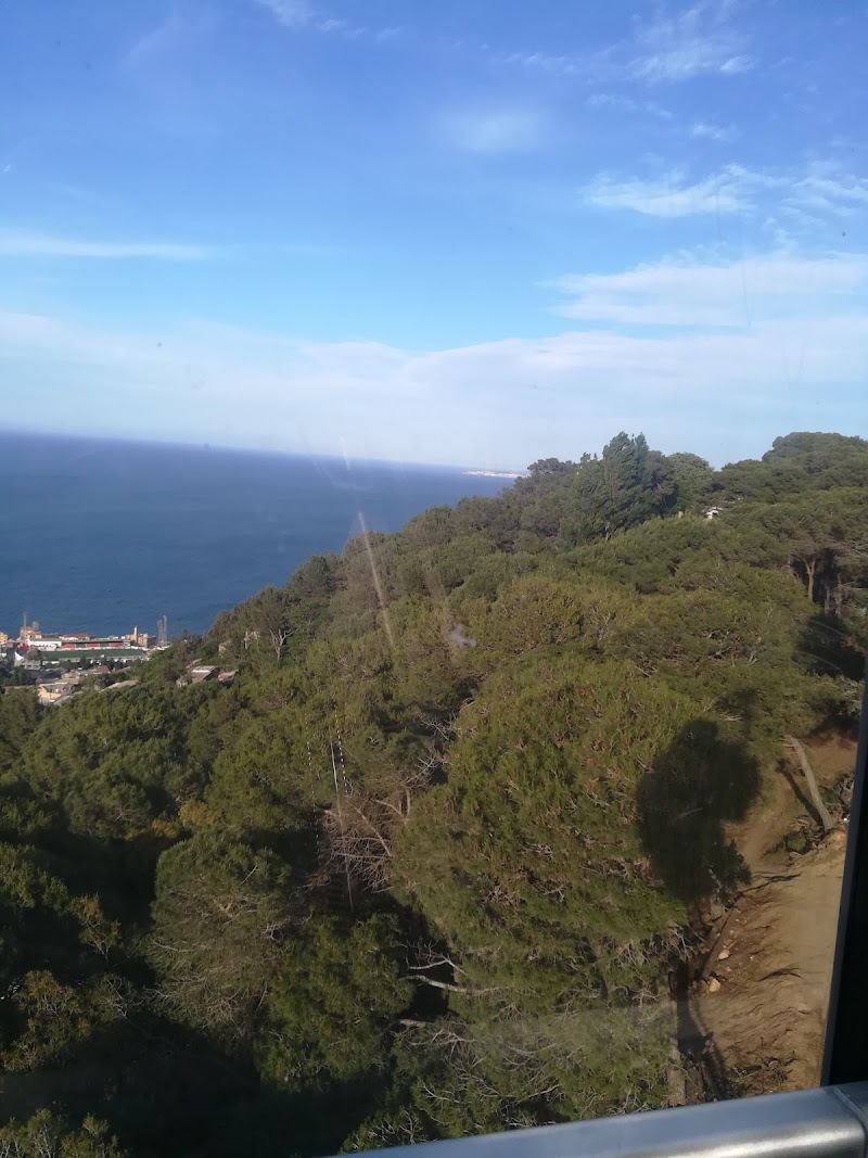 Telepherique Notre-Dame d'Afrique