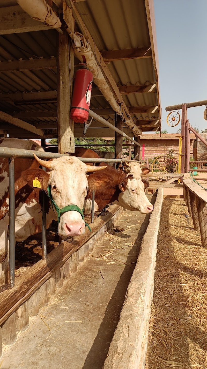 Ferme Pédagogique de Zéralda