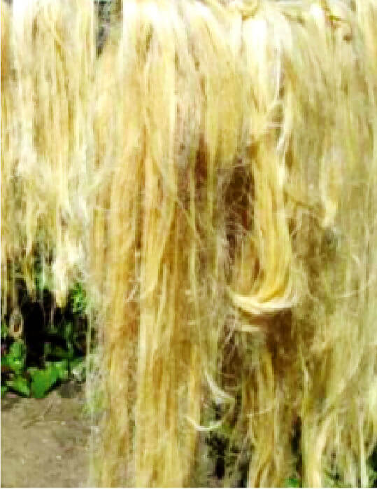 natural fiber