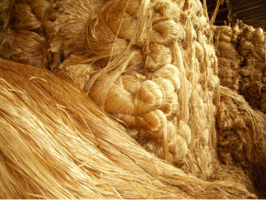 Golden Jute Fiber