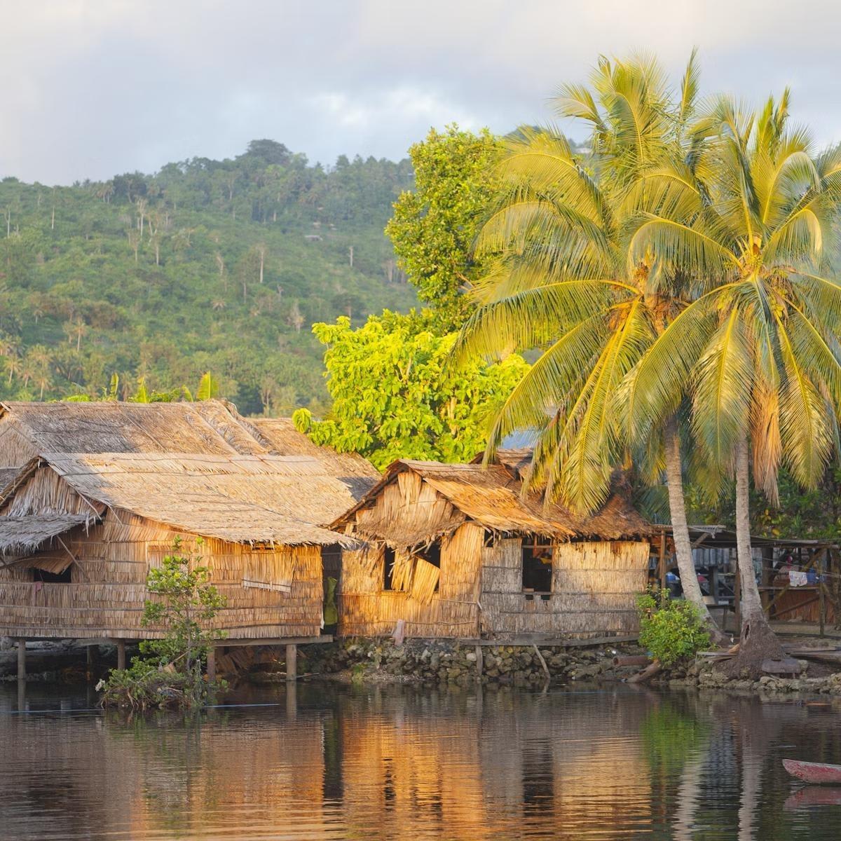 Village Houses