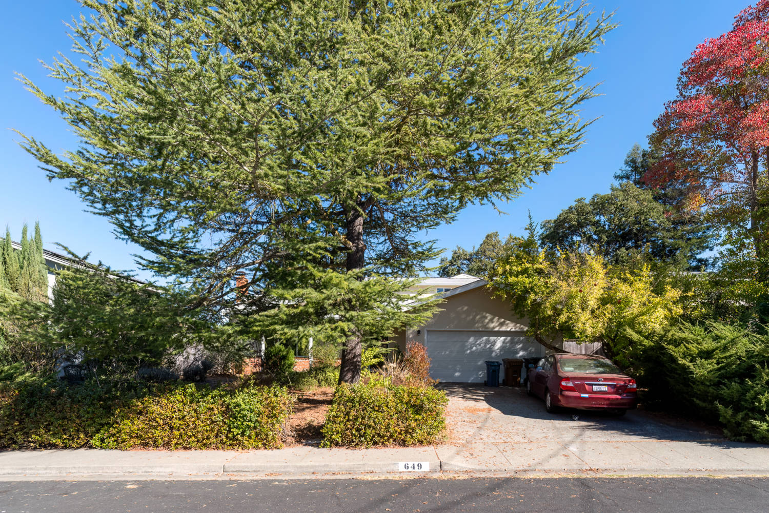 Front Yard Before Renovation