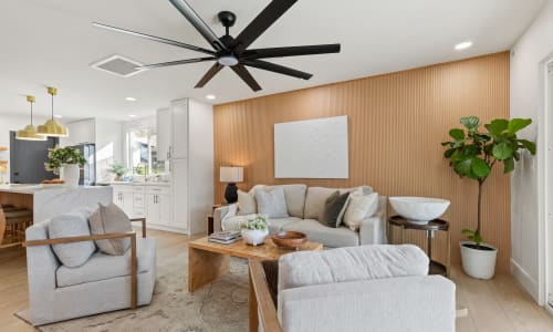 24732 Alanwood Street photo 11