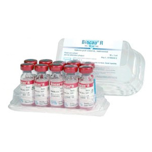 Biocan B