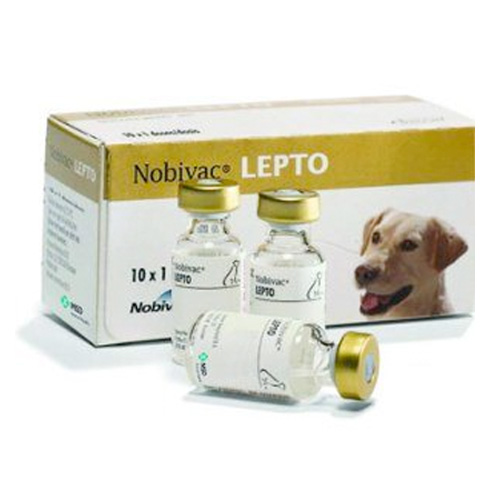 Nobivac Lepto