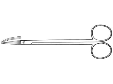 Ciseaux Ciseaux à gencive courbés dentelés Kelly 16cm  img